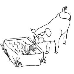 Раскраска: свинья (Животные) #3630 - Бесплатные раскраски для печати