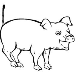 Раскраска: свинья (Животные) #3657 - Бесплатные раскраски для печати