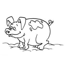 Раскраска: свинья (Животные) #3682 - Раскраски для печати
