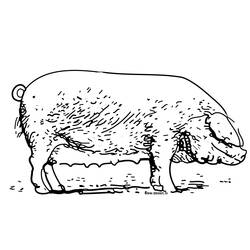 Раскраска: свинья (Животные) #3733 - Бесплатные раскраски для печати