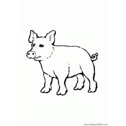 Раскраска: свинья (Животные) #3765 - Бесплатные раскраски для печати