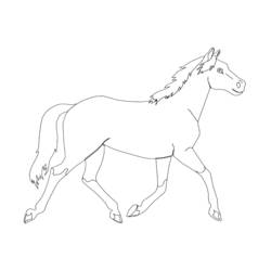 Раскраска: пони (Животные) #17906 - Раскраски для печати