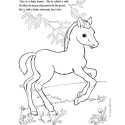 Раскраска: пони (Животные) #17997 - Бесплатные раскраски для печати