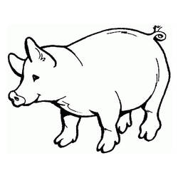 Раскраска: свинина (Животные) #17621 - Раскраски для печати