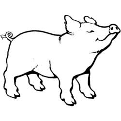 Раскраска: свинина (Животные) #17622 - Раскраски для печати