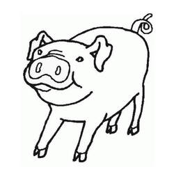 Раскраска: свинина (Животные) #17633 - Раскраски для печати