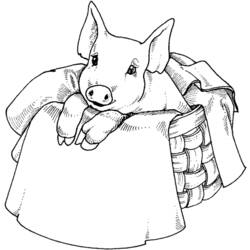 Раскраска: свинина (Животные) #17784 - Раскраски для печати