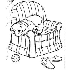 Раскраска: щенок (Животные) #2917 - Бесплатные раскраски для печати