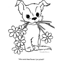 Раскраска: щенок (Животные) #2918 - Бесплатные раскраски для печати