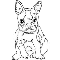 Раскраска: щенок (Животные) #2924 - Бесплатные раскраски для печати