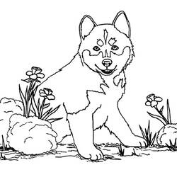 Раскраска: щенок (Животные) #2939 - Бесплатные раскраски для печати