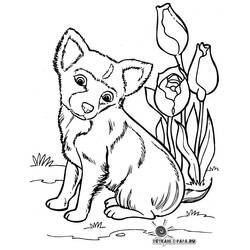 Раскраска: щенок (Животные) #2941 - Бесплатные раскраски для печати