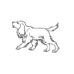Раскраска: щенок (Животные) #2964 - Бесплатные раскраски для печати