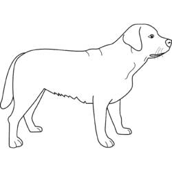 Раскраска: щенок (Животные) #2965 - Бесплатные раскраски для печати