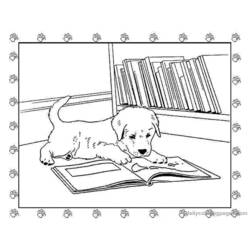 Раскраска: щенок (Животные) #2973 - Раскраски для печати