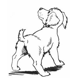 Раскраска: щенок (Животные) #2988 - Бесплатные раскраски для печати