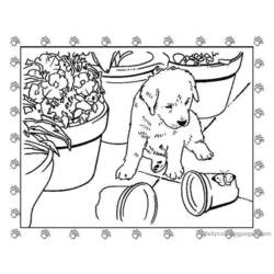Раскраска: щенок (Животные) #3011 - Раскраски для печати