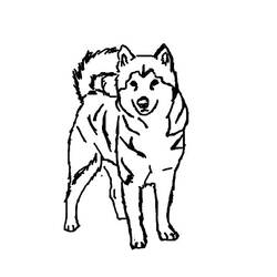 Раскраска: щенок (Животные) #3048 - Раскраски для печати