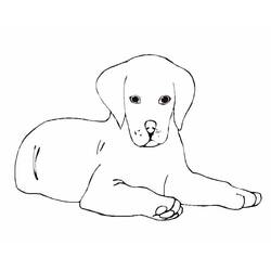 Раскраска: щенок (Животные) #3052 - Бесплатные раскраски для печати
