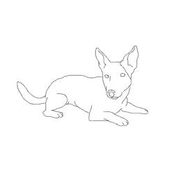 Раскраска: щенок (Животные) #3069 - Бесплатные раскраски для печати
