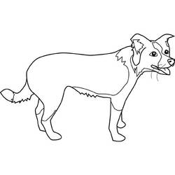 Раскраска: щенок (Животные) #3088 - Раскраски для печати