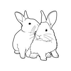 Раскраска: кролик (Животные) #9503 - Раскраски для печати