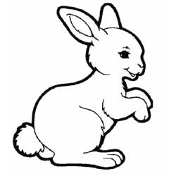 Раскраска: кролик (Животные) #9505 - Раскраски для печати