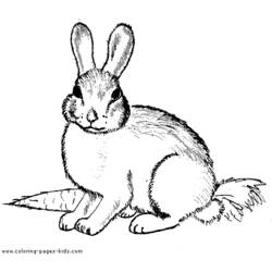 Раскраска: кролик (Животные) #9519 - Бесплатные раскраски для печати