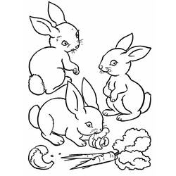 Раскраска: кролик (Животные) #9522 - Раскраски для печати