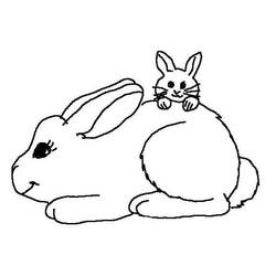 Раскраска: кролик (Животные) #9532 - Бесплатные раскраски для печати