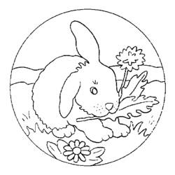 Раскраска: кролик (Животные) #9536 - Бесплатные раскраски для печати
