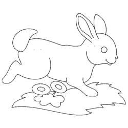 Раскраска: кролик (Животные) #9548 - Бесплатные раскраски для печати