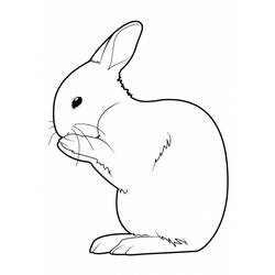Раскраска: кролик (Животные) #9554 - Раскраски для печати