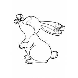 Раскраска: кролик (Животные) #9565 - Раскраски для печати