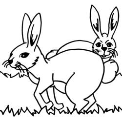 Раскраска: кролик (Животные) #9580 - Бесплатные раскраски для печати