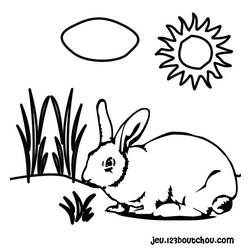 Раскраска: кролик (Животные) #9584 - Бесплатные раскраски для печати