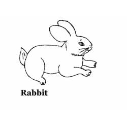 Раскраска: кролик (Животные) #9587 - Раскраски для печати