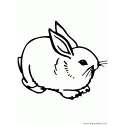 Раскраска: кролик (Животные) #9610 - Раскраски для печати