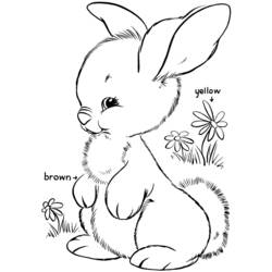 Раскраска: кролик (Животные) #9621 - Раскраски для печати