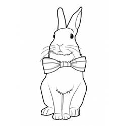 Раскраска: кролик (Животные) #9651 - Бесплатные раскраски для печати