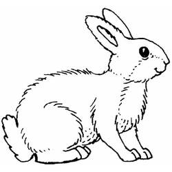 Раскраска: кролик (Животные) #9689 - Раскраски для печати