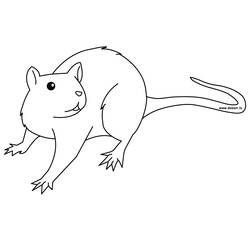 Раскраска: крыса (Животные) #15167 - Раскраски для печати