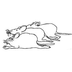 Раскраска: крыса (Животные) #15168 - Раскраски для печати