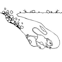 Раскраска: крыса (Животные) #15178 - Раскраски для печати