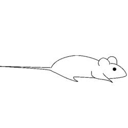 Раскраска: крыса (Животные) #15187 - Раскраски для печати