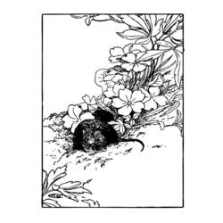 Раскраска: крыса (Животные) #15195 - Бесплатные раскраски для печати