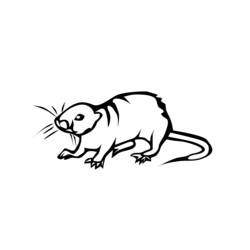 Раскраска: крыса (Животные) #15200 - Раскраски для печати