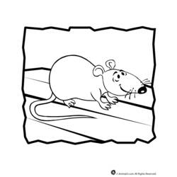 Раскраска: крыса (Животные) #15202 - Раскраски для печати