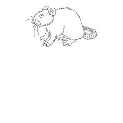 Раскраска: крыса (Животные) #15215 - Раскраски для печати