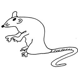 Раскраска: крыса (Животные) #15242 - Раскраски для печати